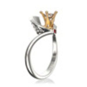 JAPANESE AND KOREAN ACCESSORIES FASHION QUEEN